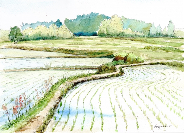 2013年05月の記事 | レオくんの水彩スケッチ