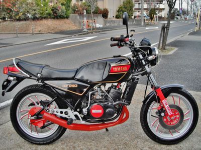 キット込RG250/350(4L3) 初期型☆流れるLEDユニット☆超爆光45発 キット込RG250/350(4L3) 初期型☆流れるLEDユニット☆超爆光45発