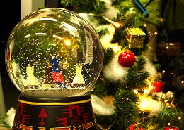スノードーム （新宿本店） | A&F カントリー SHOP BLOG