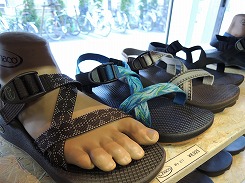CHACO（チャコ）サンダル （新宿本店） | A&F カントリー SHOP BLOG