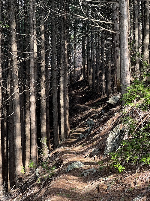 レイディックス47で行く奥秩父【MYSTERY RANCH TOKYO】 | A&F