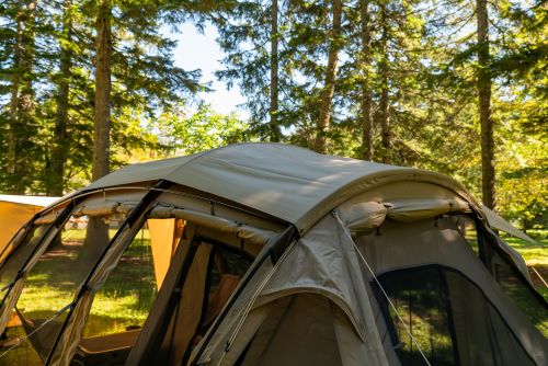 SABBATICAL(サバティカル)アルニカplus再入荷のお知らせ!!【ららぽーと