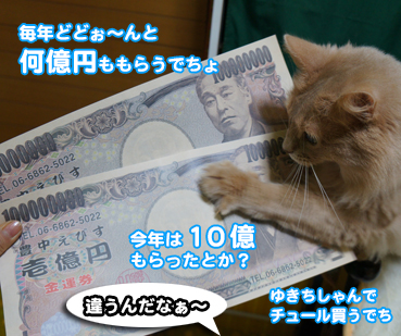 5925.一億円の新札 | お散歩大好き猫ブログ