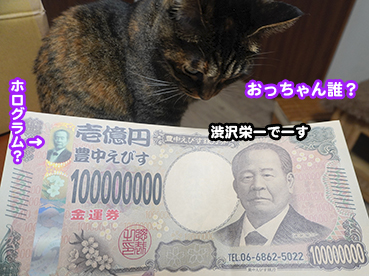 5925.一億円の新札 | お散歩大好き猫ブログ