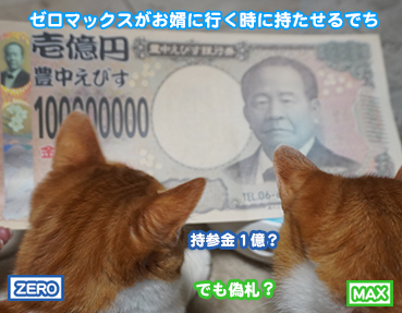 5925.一億円の新札 | お散歩大好き猫ブログ