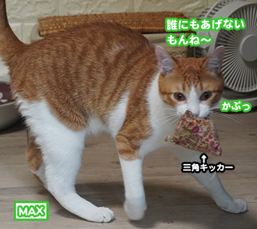 ねこ兄さん専用です。

未使用
傷はないです 猫兄さん - YouTube