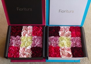 fioritura20110420.jpg