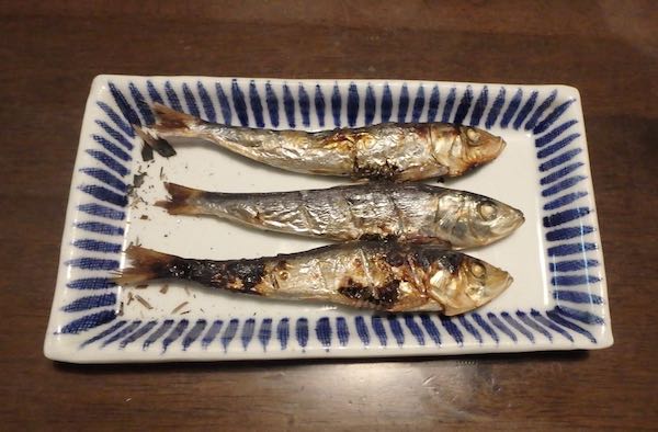 節分&こまめ | 青柳庵日記