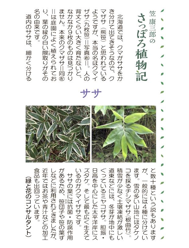 ササ | 青柳庵日記
