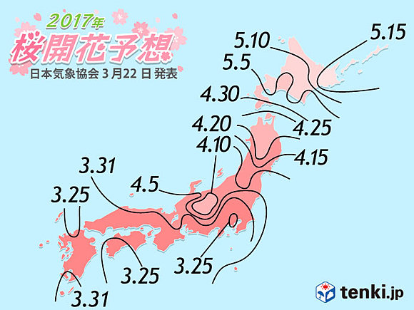 桜の開花予想2017