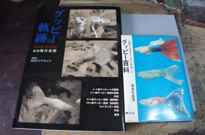 グッピーの軌跡 追悼筒井良樹 ありし日の故・筒井良樹氏を偲ぶ。 | 模型工房あとりえピクタ