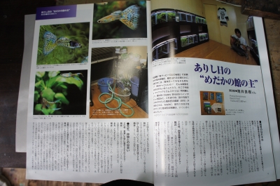 ありし日の故・筒井良樹氏を偲ぶ。 | 模型工房あとりえピクタ