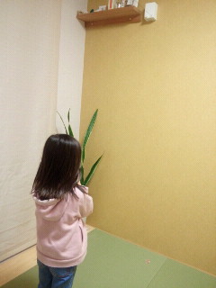 2013032717400000.jpg