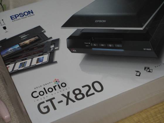 EPSON GT-X820 エプソン 粗野 スキャナー カラリオ ジャンク K9750880