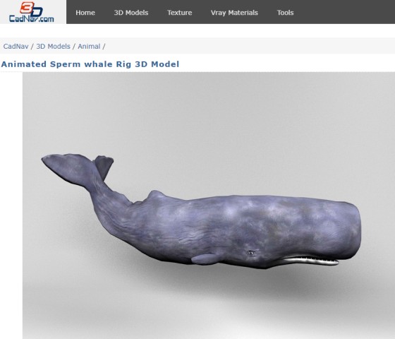 Cadnav Rig CadNav.comからダウンロードしたクジラの3Dモデリングデータ、