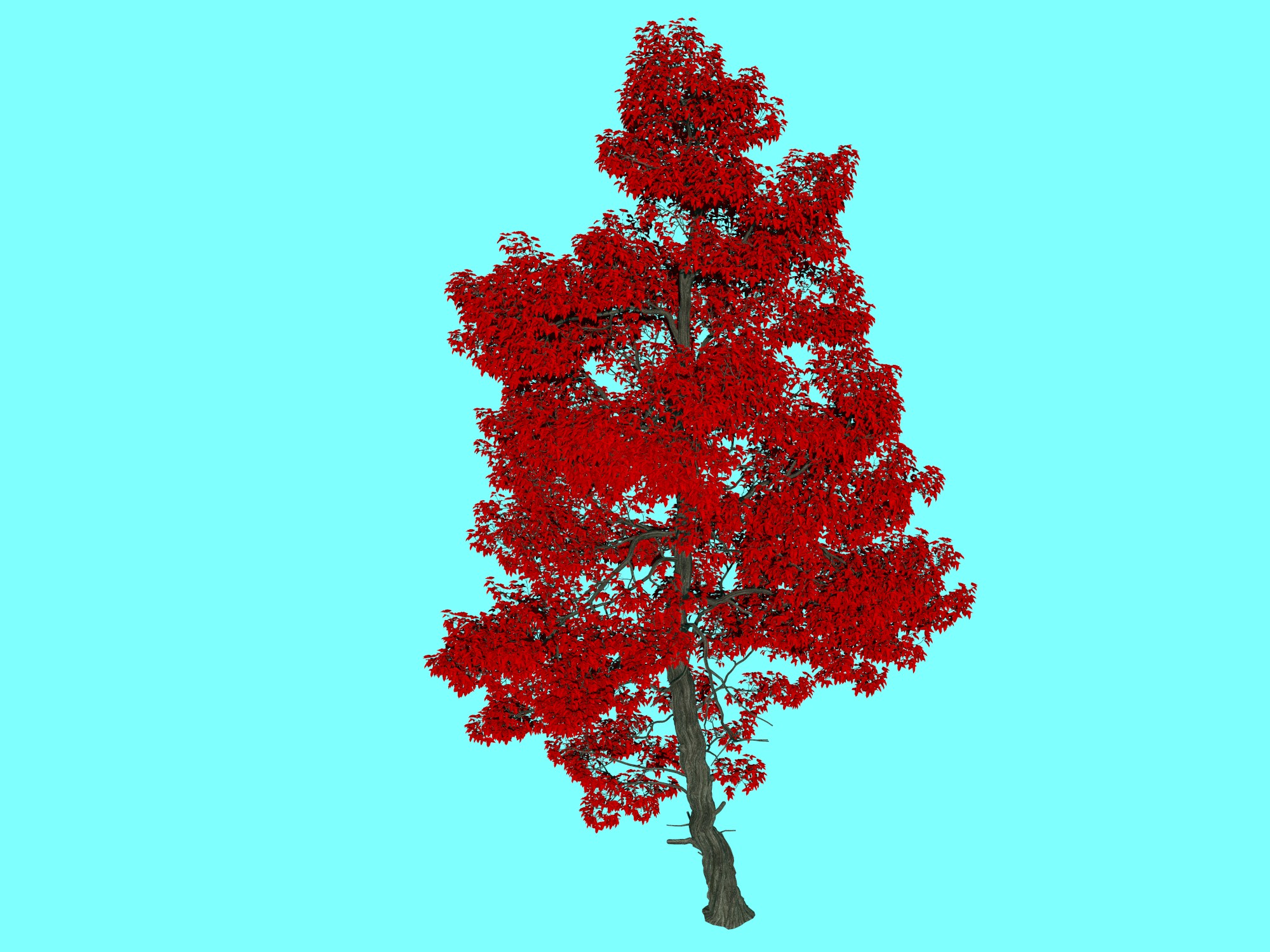 3D CARGO【植物編】3D形状データ集 OBJフォーマット