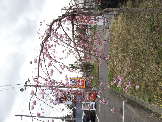 20130410_111336.jpg