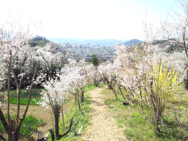 20130410_144443.jpg