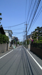 201205121129000.jpg