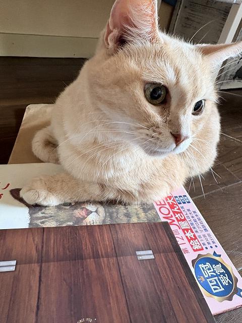 防風インナーはいかがでしょうか？:KUSHITANI 三鷹店 | KUSHITANI 三鷹店