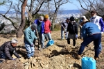 高津子山を桜の山に