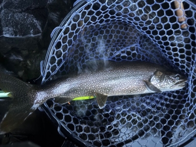 中禅寺湖に行ってきました、釣行記【2025-5-22】： | Lone Wolf for