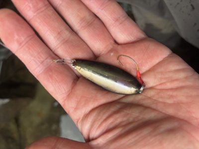 中禅寺湖に行ってきました、釣行記【2025-5-22】： | Lone Wolf for