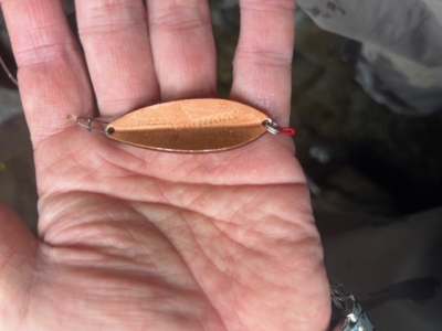 中禅寺湖に行ってきました、釣行記【2025-5-22】： | Lone Wolf for