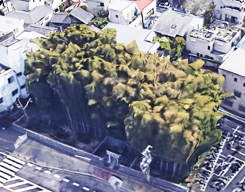 藪知らずの神社、縁起は知れず | 科学技術のアネクドート
