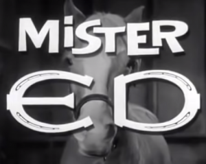 Mister ED