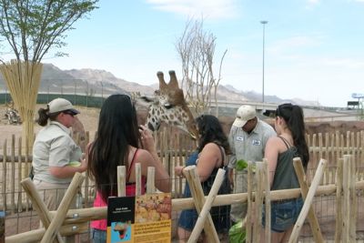 El Paso Zoo