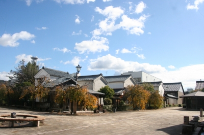 福井県越前市で街歩き~武生市街地・門前町の古い街並み | 日本の街並みと鉄道のコレクション