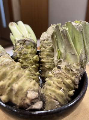 店主ブログ