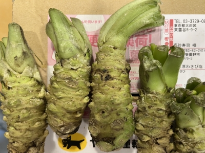店主ブログ