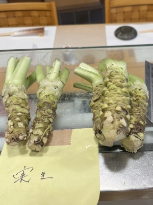 店主ブログ