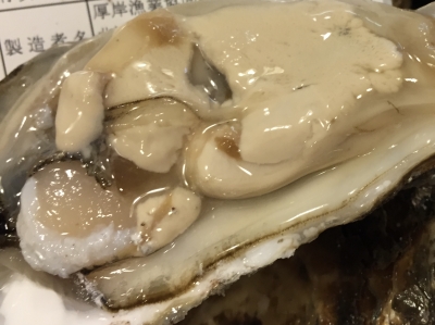 店主ブログ