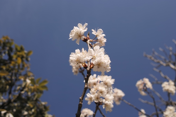 餫ī