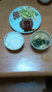 20110217093404.jpg