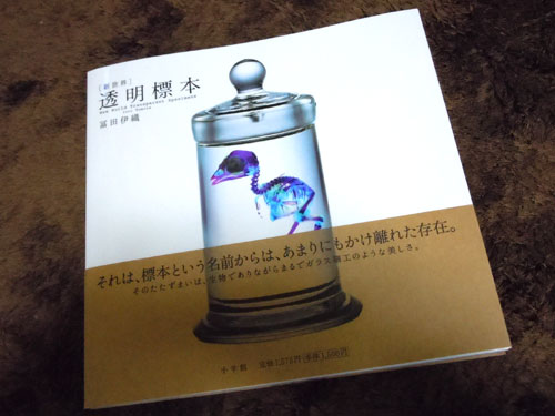 透明標本 | with Reptiles