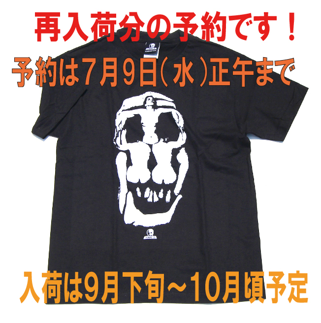 LADY SKULL TEE 再入荷分 予約開始！ | SKULL SKATES JAPAN