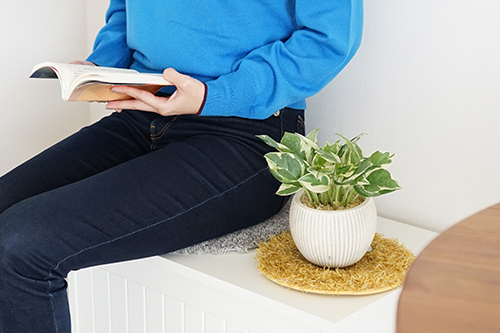 ひとも植物もあたたかく過ごす冬