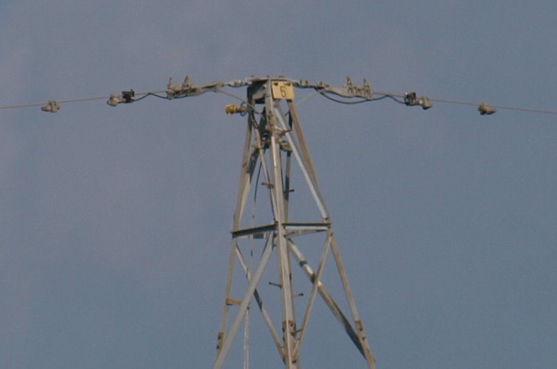 Apo 50 500mm f4 6 3 ex dg hsm muru s log