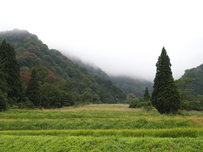 nakahara