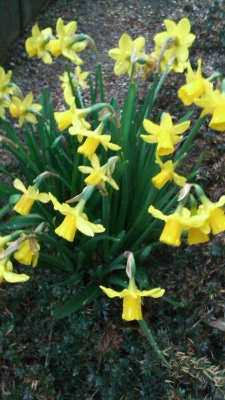 20110321_1875578.jpg