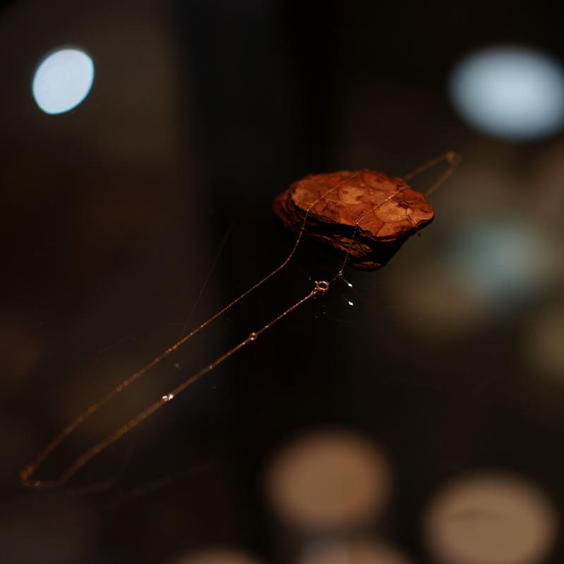EXCLUSIVE BALUCA別注/Tetsuya Fujimoto by NEEDIS×verona /Yellow Gold ...