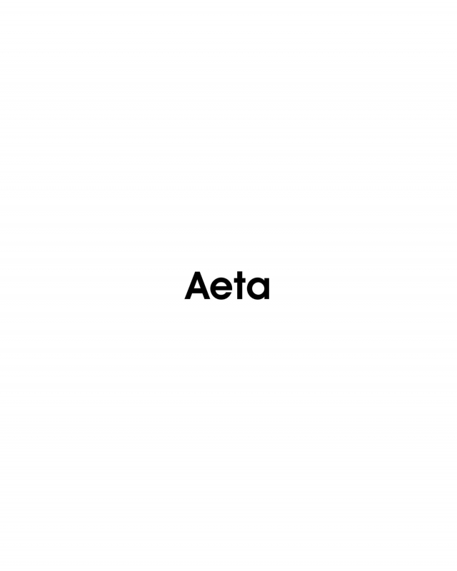 Aeta(アエタ) 26SS Colectionの新作、VC Bracelet Single (VC10)/Black