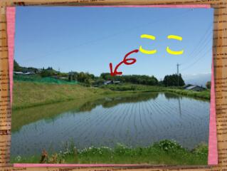 20130531_111058.jpg