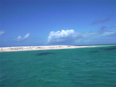 mackay reef