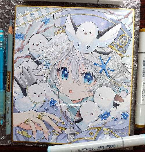 アート・写真 手描きイラスト＆ポストカード5枚【Snow Fairy