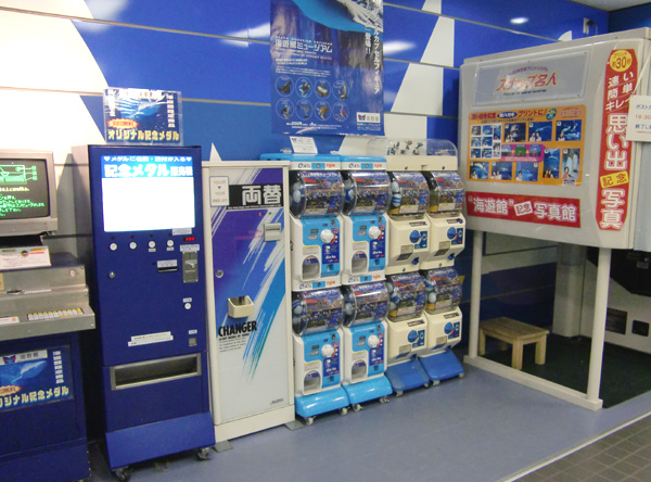 【海遊館限定】　海遊館ガチャガチャ　オニイトマキエイ　アオウミガメ 8/9～】「海遊館オリジナルカプセルトイ木彫りフィギュア」を海